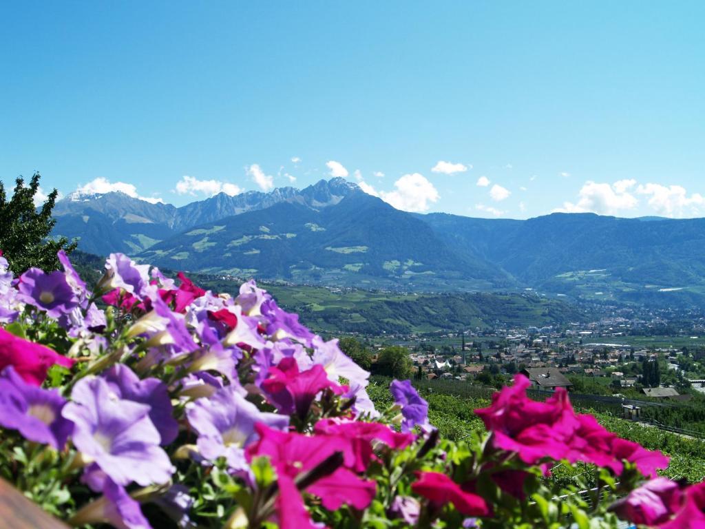 Pension Alpenblick Algund Buitenkant foto